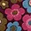ModCloth x Princess Highway Blooms Abound Mini Skirt